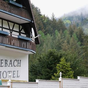 Seebach-Hotel